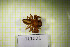  ( - TL1021)  @11 [ ] CreativeCommons Attribution NonCommercial ShareAlike (2021) (2025) University of Lodz University of Lodz