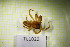  ( - TL1022)  @11 [ ] CreativeCommons Attribution NonCommercial ShareAlike (2021) (2025) University of Lodz University of Lodz