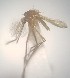  ( - MVAMX19CL57)  @12 [ ] CreativeCommons  Attribution Non-Commercial Share-Alike (2019) Unspecified Laboratorio de Ecología de Enfermedades y Una Salud