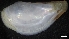  ( - M17-M4E-M37)  @11 [ ] C (2020) Unspecified Biologica Environmental Services