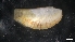  ( - LG18-18- M38)  @11 [ ] C (2020) Unspecified Biologica Environmental Services