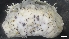  ( - M19-M4E-E39)  @11 [ ] C (2020) Unspecified Biologica Environmental Services