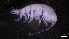  ( - M17-M4SE-A41)  @11 [ ] C (2020) Unspecified Biologica Environmental Services
