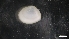  ( - M17-M4SE-M49)  @11 [ ] C (2020) Unspecified Biologica Environmental Services