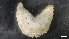 ( - M19-M1S-E49)  @11 [ ] C (2020) Unspecified Biologica Environmental Services