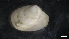  ( - IO19-2-M05)  @11 [ ] C (2020) Unspecified Biologica Environmental Services