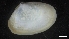  ( - IO17-1-M57)  @11 [ ] C (2020) Unspecified Biologica Environmental Services