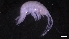  ( - M17-M4E-A57)  @11 [ ] C (2020) Unspecified Biologica Environmental Services