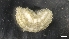  ( - M20-MC8SE-E81)  @11 [ ] C (2020) Unspecified Biologica Environmental Services