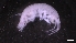  ( - M17-M4E-A91)  @11 [ ] C (2020) Unspecified Biologica Environmental Services