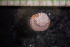  ( - IO17-1-01)  @11 [ ] Copyright (2017) Unspecified Metro Vancouver
