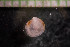  ( - IO17-1-05)  @11 [ ] Copyright (2017) Unspecified Metro Vancouver