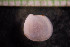  ( - IO17-15-17)  @11 [ ] Copyright (2017) Unspecified Metro Vancouver