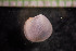  ( - IO17-15-19)  @11 [ ] Copyright (2017) Unspecified Metro Vancouver