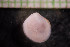  ( - IO17-15-22)  @11 [ ] Copyright (2017) Unspecified Metro Vancouver
