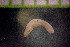  ( - IO17-15-25)  @11 [ ] Copyright (2017) Unspecified Metro Vancouver