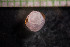  ( - IO17-8-06)  @11 [ ] Copyright (2017) Unspecified Metro Vancouver