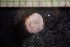 ( - IO17-8-13)  @11 [ ] Copyright (2017) Unspecified Metro Vancouver
