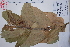  ( - Fishbein5839)  @11 [ ] Copyright (2010) Unspecified Universidad Autónoma de México