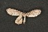  ( - ChamLep-0142)  @12 [ ] Unspecified (default): All Rights Reserved  Unspecified Unspecified