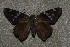  ( - ChamLep-0032)  @12 [ ] Unspecified (default): All Rights Reserved  Unspecified Unspecified
