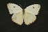  ( - ChamLep-0079)  @11 [ ] Unspecified (default): All Rights Reserved  Unspecified Unspecified