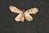  ( - ChamLep-0126)  @13 [ ] Unspecified (default): All Rights Reserved  Unspecified Unspecified