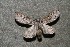  ( - ChamLep-0138)  @13 [ ] Unspecified (default): All Rights Reserved  Unspecified Unspecified