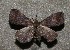  ( - ChamLep-0174)  @13 [ ] Unspecified (default): All Rights Reserved  Unspecified Unspecified