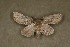  ( - ChamLep-0181)  @13 [ ] Unspecified (default): All Rights Reserved  Unspecified Unspecified