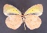  ( - ChamLep-0284)  @11 [ ] Unspecified (default): All Rights Reserved  Unspecified Unspecified