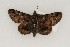  ( - ChamLep-0343)  @13 [ ] Unspecified (default): All Rights Reserved  Unspecified Unspecified