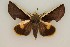  ( - ChamLep-0088)  @14 [ ] Unspecified (default): All Rights Reserved  Unspecified Unspecified