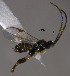  ( - Micro0075)  @12 [ ] Unspecified (default): All Rights Reserved  Unspecified Unspecified