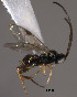  ( - Micro0086)  @12 [ ] Unspecified (default): All Rights Reserved  Unspecified Unspecified