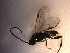  ( - Micro0101)  @12 [ ] Unspecified (default): All Rights Reserved  Unspecified Unspecified