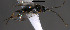  ( - Micro0139)  @12 [ ] Unspecified (default): All Rights Reserved  Unspecified Unspecified