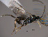  ( - Micro0147)  @12 [ ] Unspecified (default): All Rights Reserved  Unspecified Unspecified