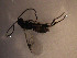  ( - Micro0150)  @12 [ ] Unspecified (default): All Rights Reserved  Unspecified Unspecified