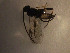  ( - Micro0164)  @12 [ ] Unspecified (default): All Rights Reserved  Unspecified Unspecified