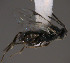  ( - Micro0168)  @12 [ ] Unspecified (default): All Rights Reserved  Unspecified Unspecified