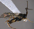  ( - Micro0176)  @12 [ ] Unspecified (default): All Rights Reserved  Unspecified Unspecified