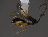  ( - Micro0183)  @12 [ ] Unspecified (default): All Rights Reserved  Unspecified Unspecified