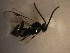 ( - Micro0184)  @12 [ ] Unspecified (default): All Rights Reserved  Unspecified Unspecified