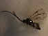  ( - Micro0197)  @13 [ ] Unspecified (default): All Rights Reserved  Unspecified Unspecified