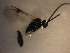  ( - Micro0230)  @12 [ ] Unspecified (default): All Rights Reserved  Unspecified Unspecified