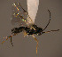  ( - Micro0238)  @12 [ ] Unspecified (default): All Rights Reserved  Unspecified Unspecified