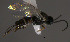  ( - Micro0257)  @12 [ ] Unspecified (default): All Rights Reserved  Unspecified Unspecified
