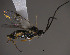 ( - Micro0259)  @12 [ ] Unspecified (default): All Rights Reserved  Unspecified Unspecified