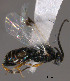  ( - Micro0292)  @13 [ ] Unspecified (default): All Rights Reserved  Unspecified Unspecified